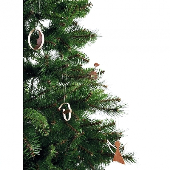 Holzdekor Apfel KNEISZ DESIGN